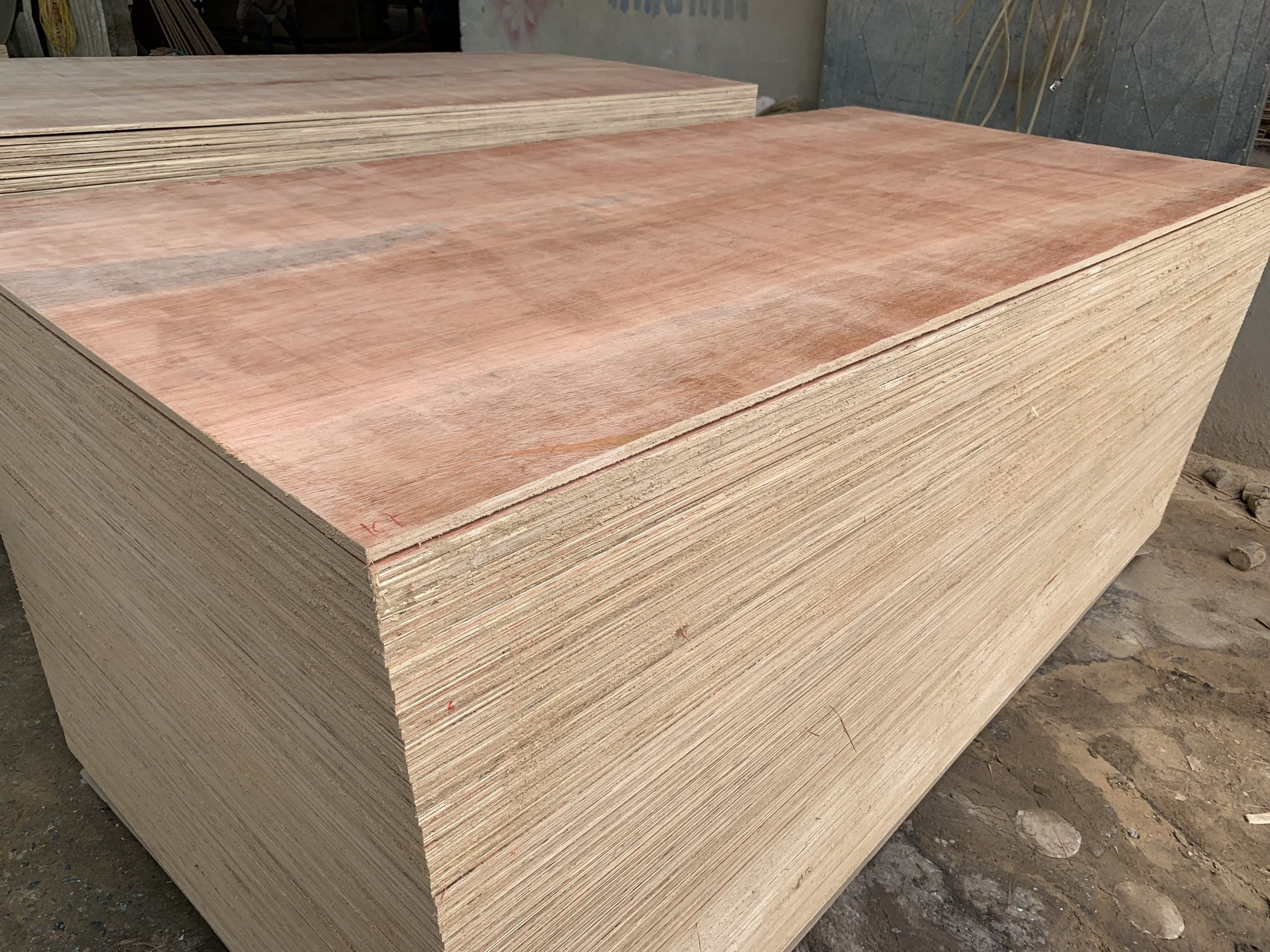 Best Price- Bintangor  faced Plywood - Plywood Sheet for Furniture -  melamine laminated Plywood for Korea Market