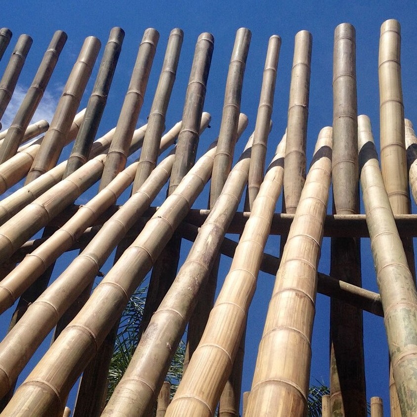 2023 High Quality Bamboo Material Stakes Bamboo Poles Treated Artificial Raw Bamboo Poles