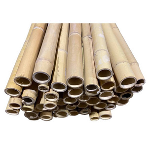 2023 High Quality Bamboo Material Stakes Bamboo Poles Treated Artificial Raw Bamboo Poles