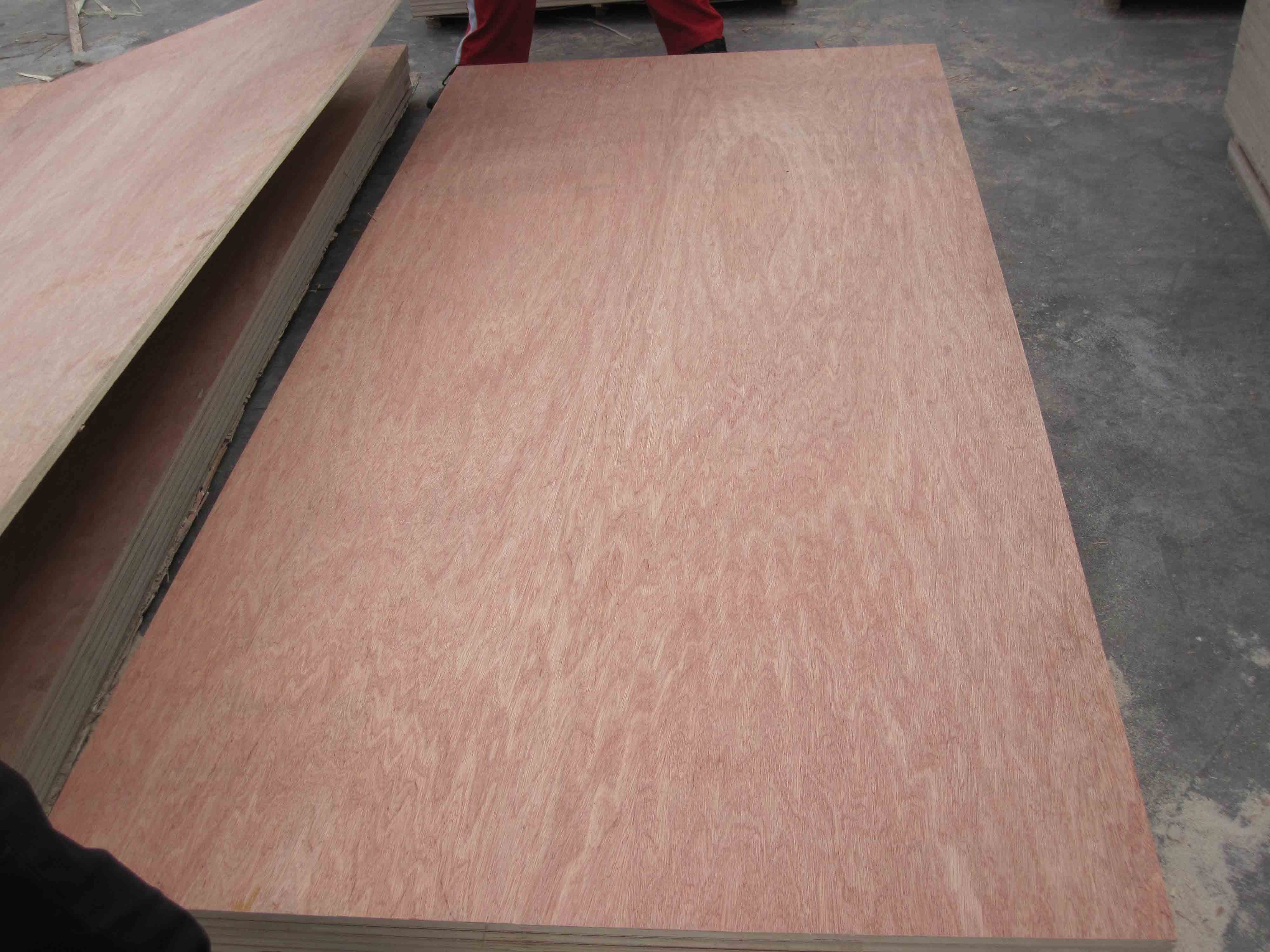 Best Price- Bintangor  faced Plywood - Plywood Sheet for Furniture -  melamine laminated Plywood for Korea Market