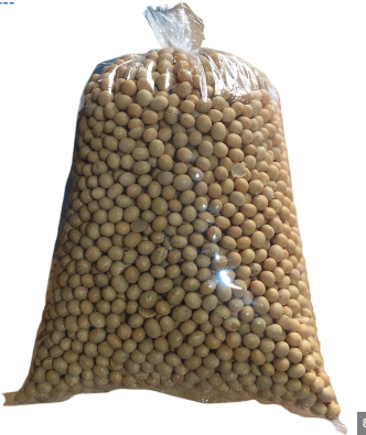 NON GMO Soya Beans for Sale Max Yellow Gift  Crop Bulk Style Packing Packaging Food YZF Color Weight Shelf Origin