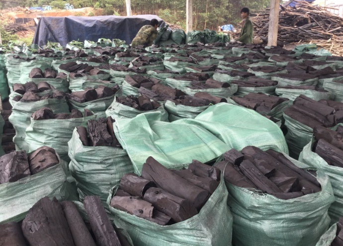 Wholesale High quality Natural Solid Wood Black Charcoal -  Mangrove/ Longan/ Coffee Wood Smokeless Charcoal for BBQ