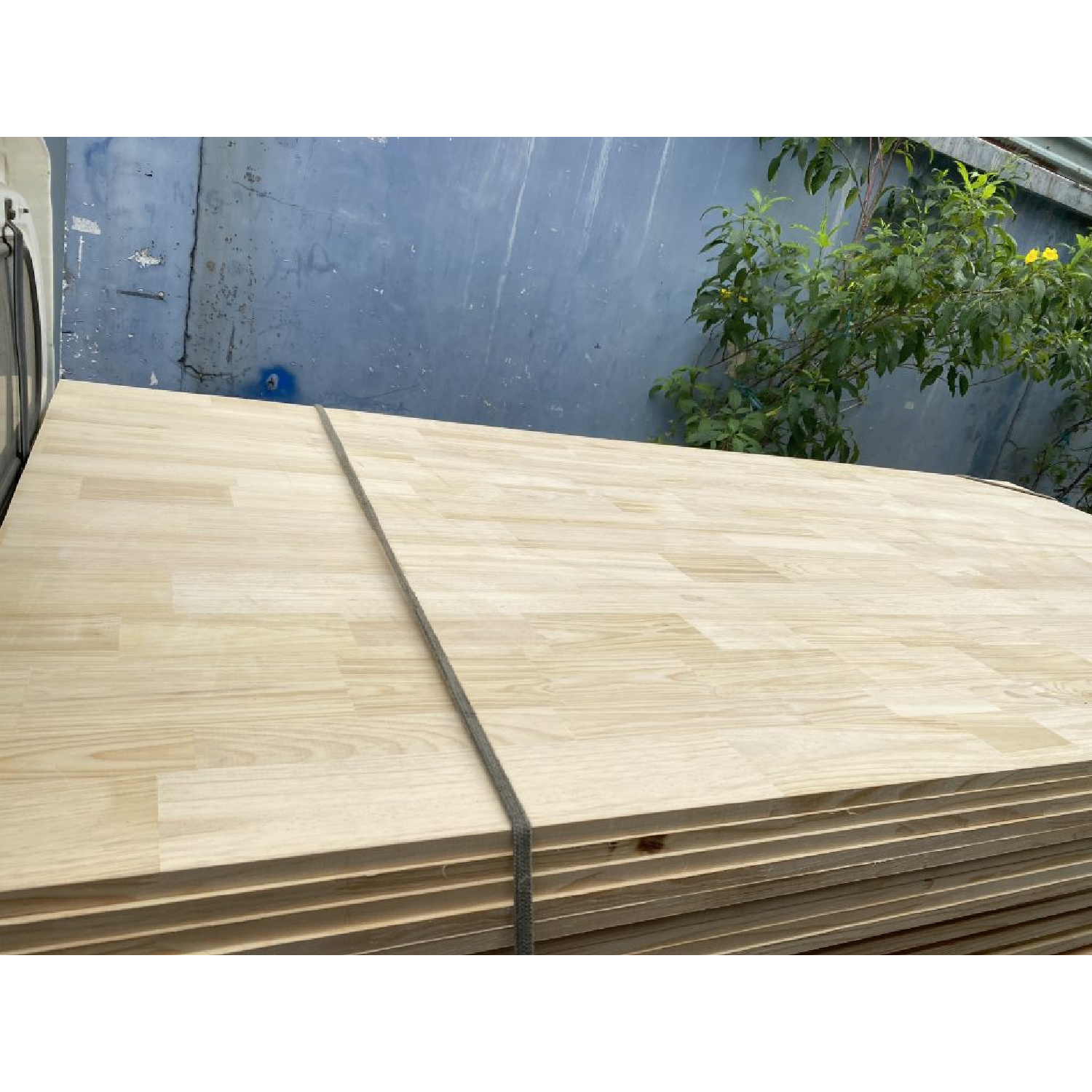 Factory Price Pine Finger Joint Laminated Board Radiata Pine Wood Finger Joint Board