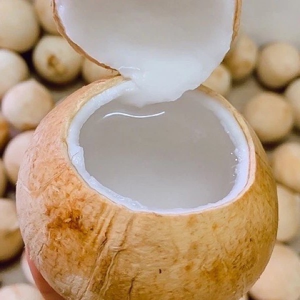 HIGH QUALITY FRESH SIAMESE COCONUT - FROZEN SIAMESE COCONUT FROM VIETNAM WITH A SWEET TASTE