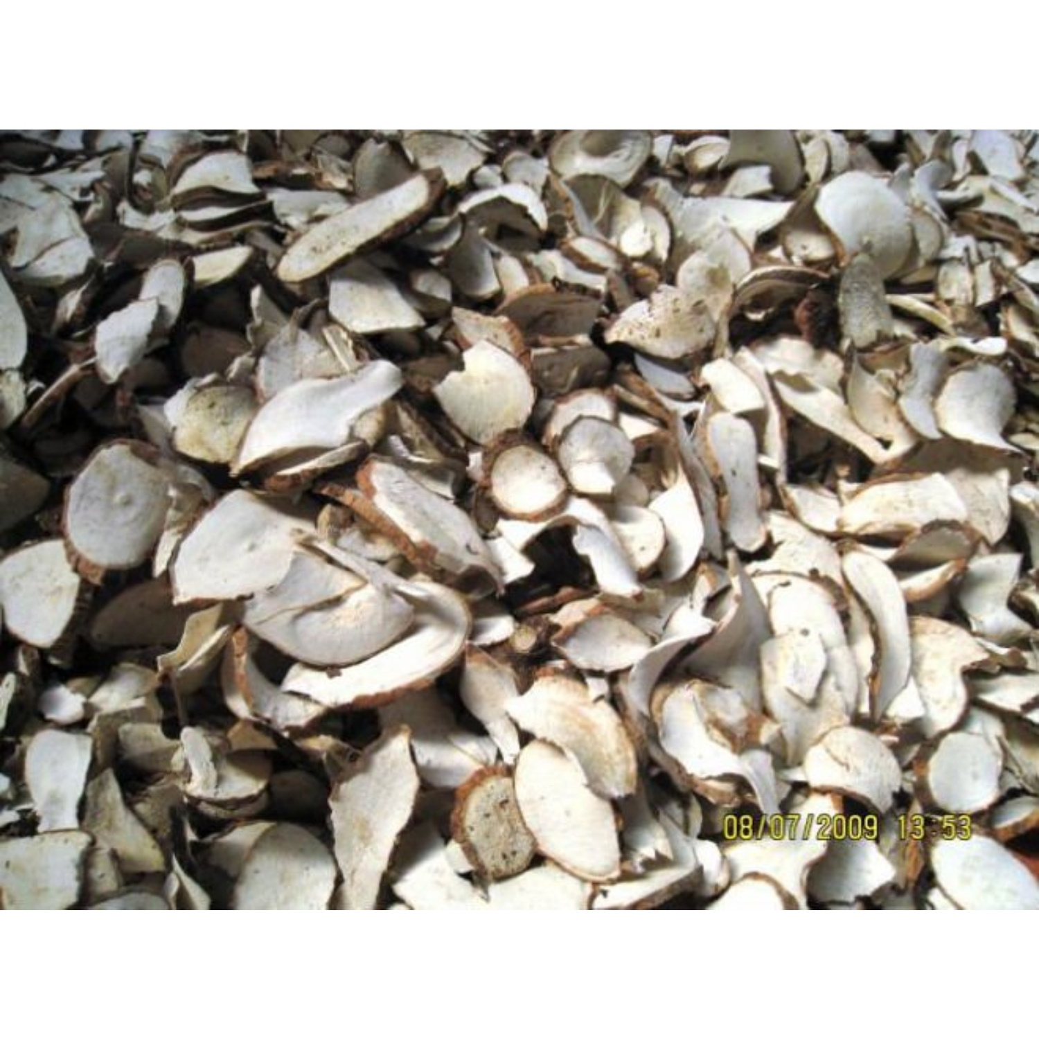 High Quality Competitive Price From Viet Nam Tapioca Chips Slice Cassava Dried Organic Cassava For Food