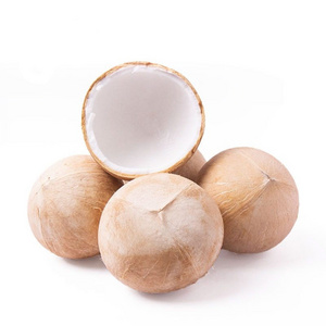 HIGH QUALITY FRESH SIAMESE COCONUT - FROZEN SIAMESE COCONUT FROM VIETNAM WITH A SWEET TASTE