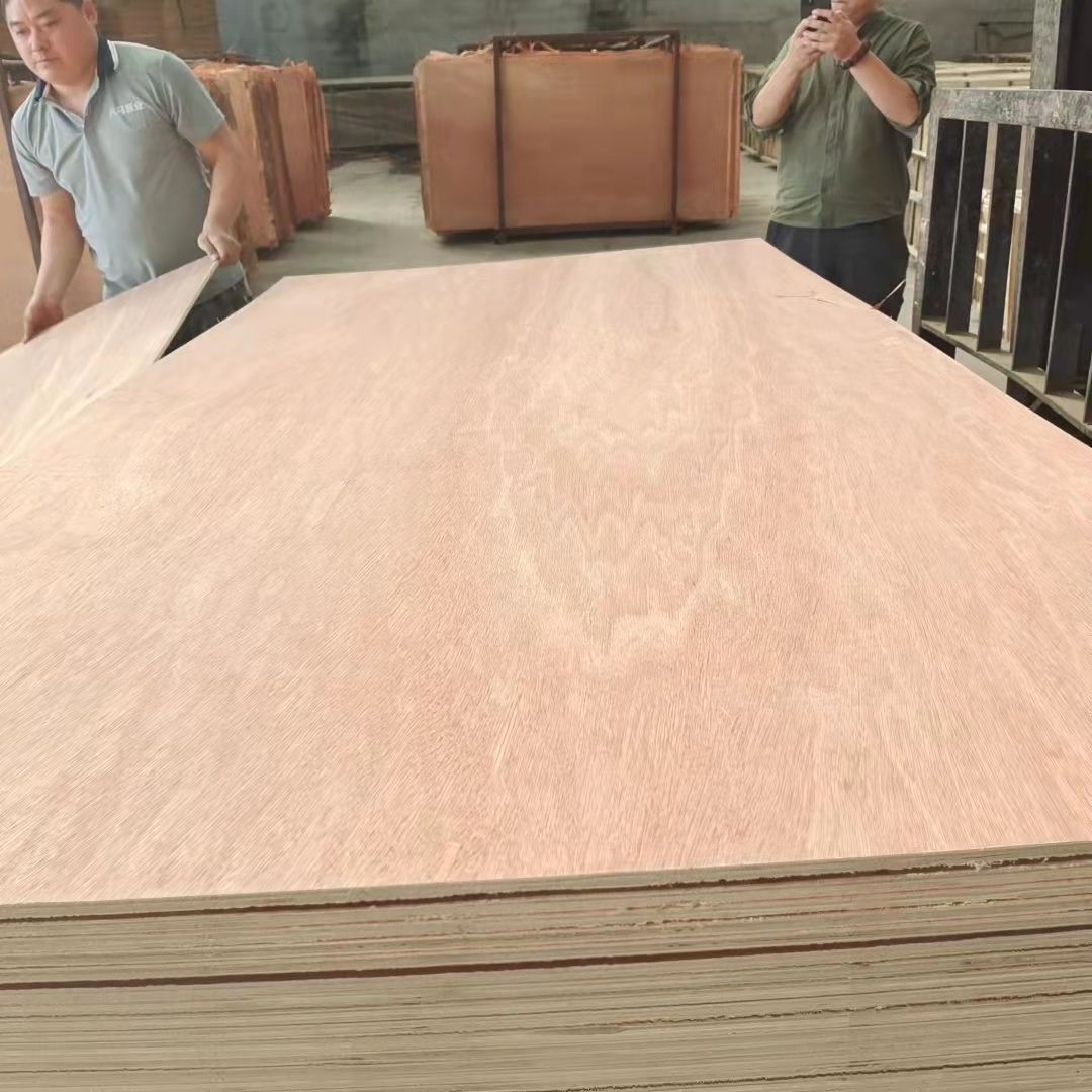 Best Price- Bintangor  faced Plywood - Plywood Sheet for Furniture -  melamine laminated Plywood for Korea Market