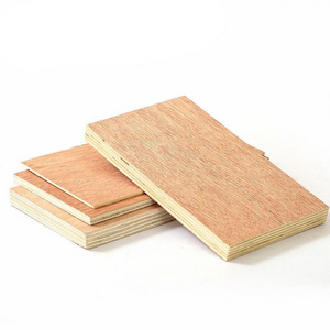 Best Price- Bintangor  faced Plywood - Plywood Sheet for Furniture -  melamine laminated Plywood for Korea Market