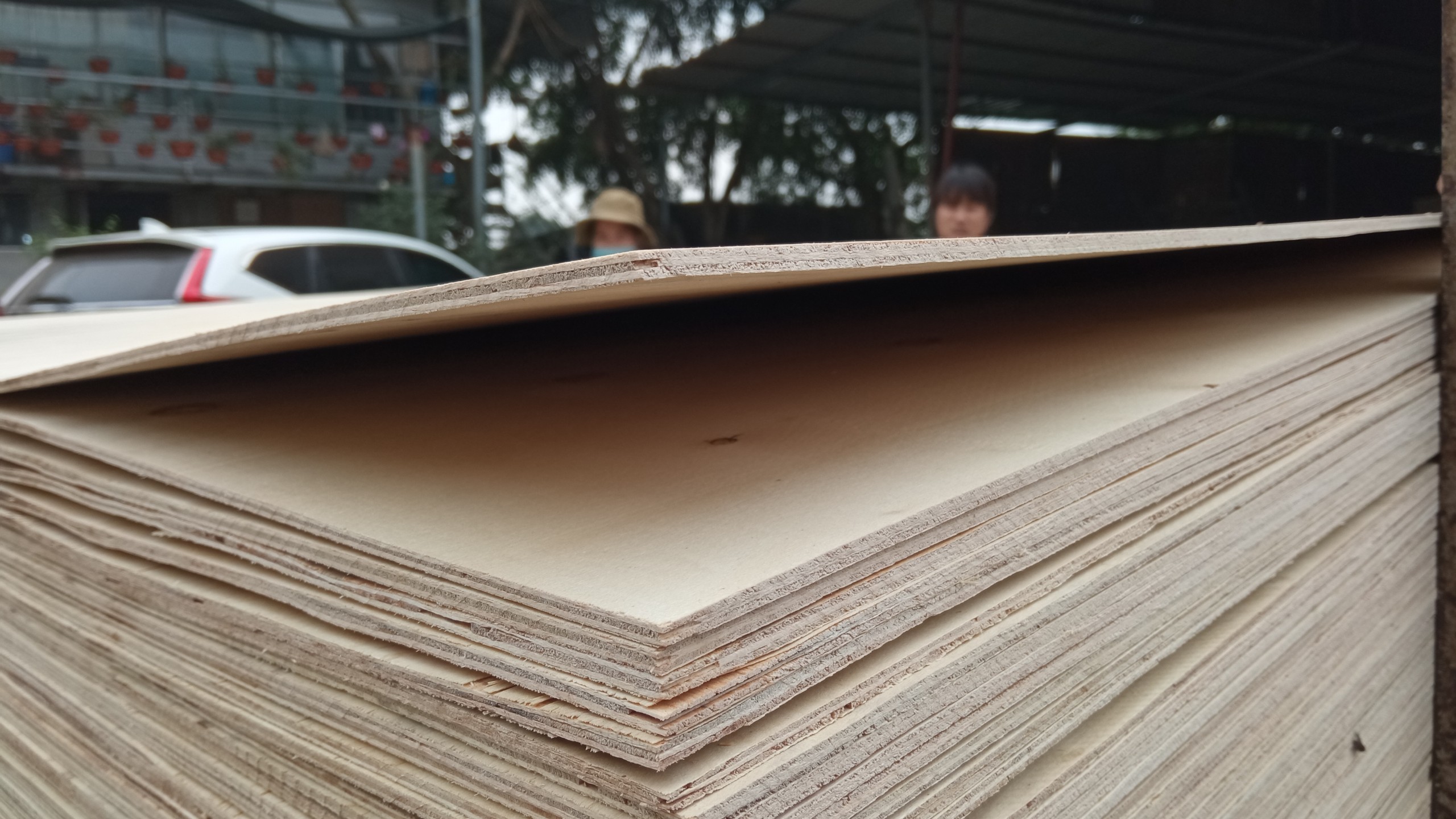 Wholesale high quality 8x4 plywood sheets from vietnam's factory - Plywood for Furniture - plywood sheet export to Korea Market