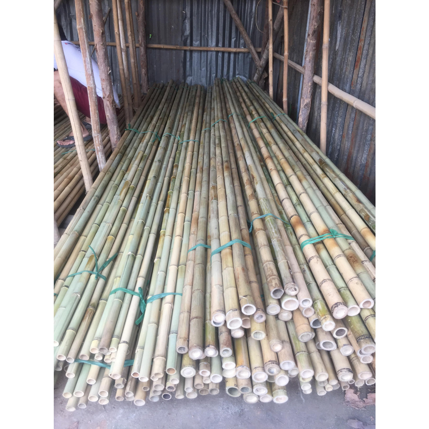 Bamboo Poles 100% Natural Bamboo Pole Customize Length Eco-Friendly Plant Support Garden Stakes Strong Durable And Lightweight