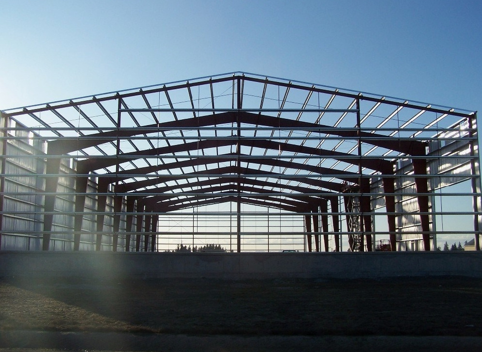 Prefabricated Modern Modular Light Steel Frame Structure for Factory Building Construction