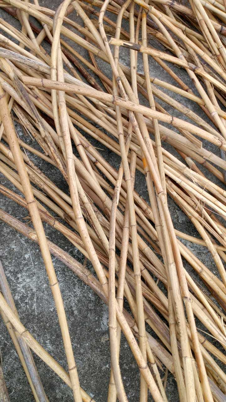 High quality of Raw Manau Rattan Bamboo Cane Rattan Poles Wholesale Straight Rattan with skin