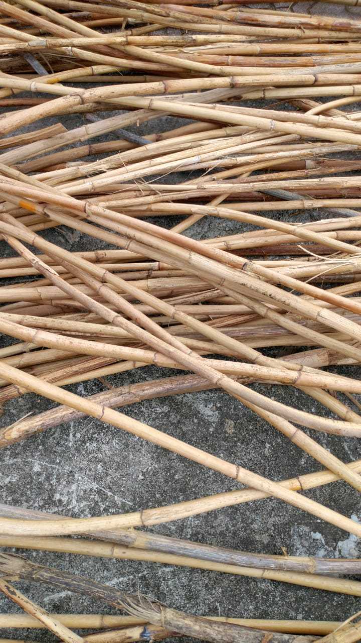 High quality of Raw Manau Rattan Bamboo Cane Rattan Poles Wholesale Straight Rattan with skin