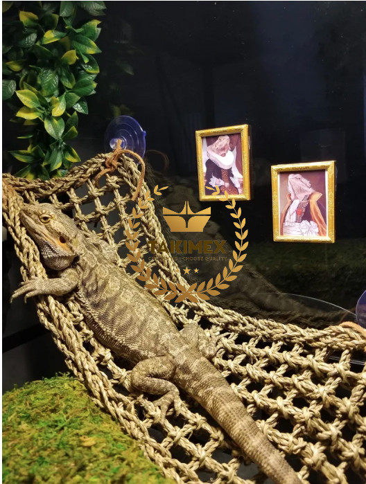 Strongest And Safest Basking Areas Reptology Lizard Lounger Great for Bearded Dragons Anole Geckos and Other Reptiles