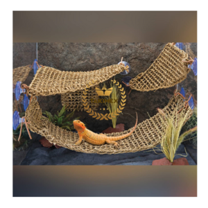 From Small to Extra Large size Lizard Lounger Sea Grass Hammock for bearded dragons geckos lizards and hermit crabs