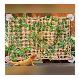 Vietnam Wholesale Bearded Dragon Hammock Reptile Lounger for Chameleon Lizards Gecko High quality