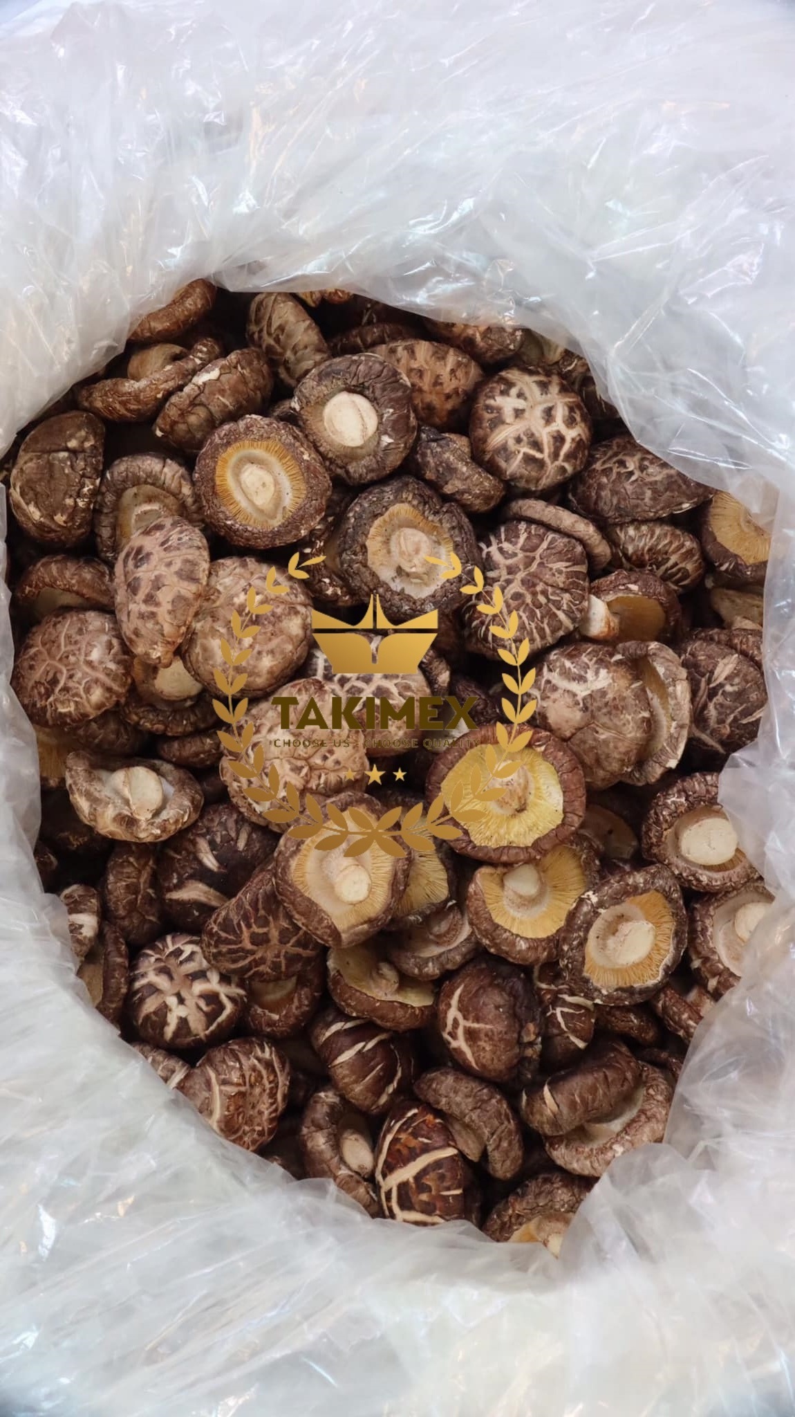 Vietnam organic Dried Shiitake Mushrooms - Dried 100% Natural Shiitake Mushroom Cheap Price In Bulk