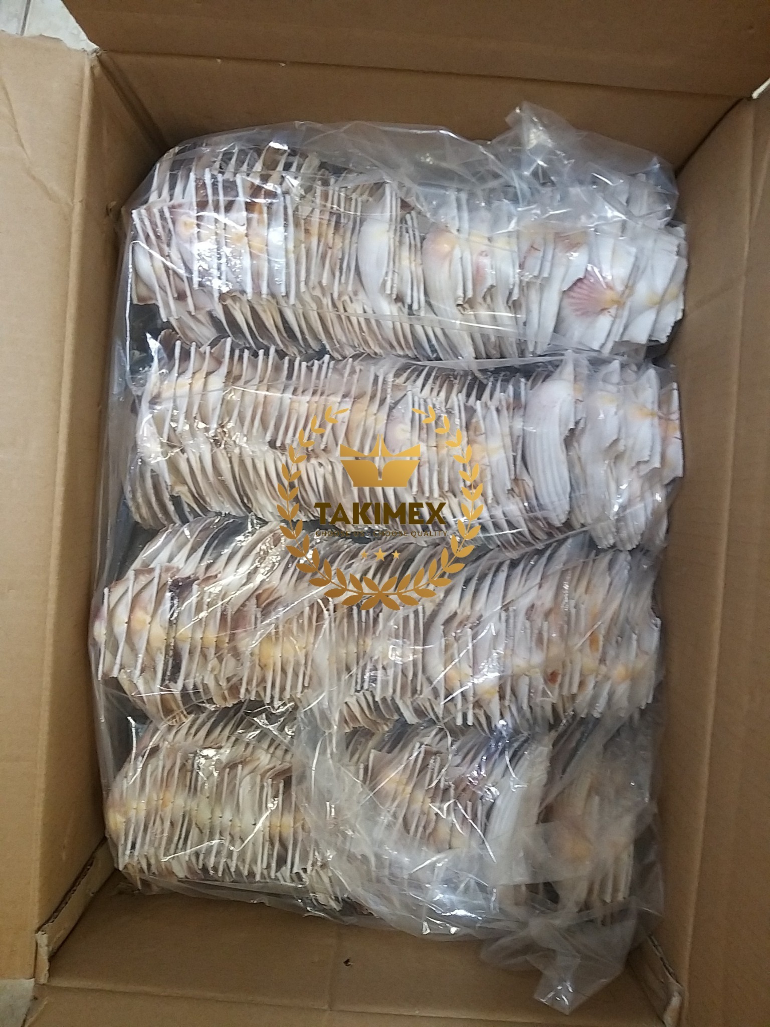 Cleaned and Polished Nature sea shell scallop shells bulk packing Vietnam origin fast delivery for decoration or foodstuff