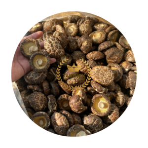 Vietnam organic Dried Shiitake Mushrooms - Dried 100% Natural Shiitake Mushroom Cheap Price In Bulk