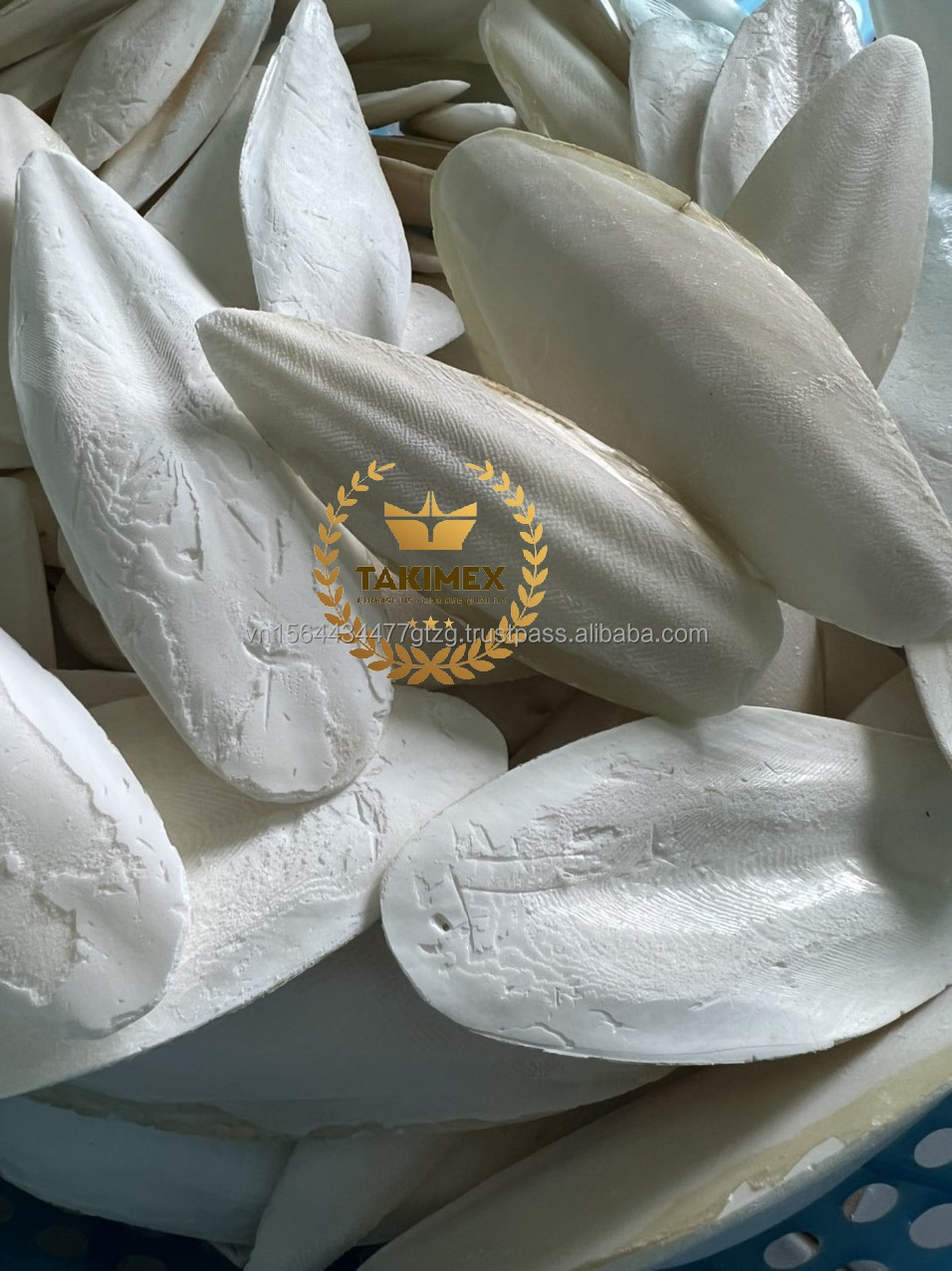 Wholesale Natural White Cuttle Fish Bone Bird Food Squid Dried Cuttlebone for Bird export from Vietnam