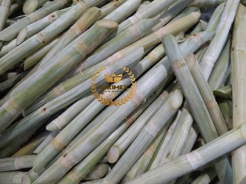 Best Seller Frozen SUGARCANE SUGAR CANE Stems IQF Cubes BQF Juice from TAK factory in Vietnam for Food & Beverage