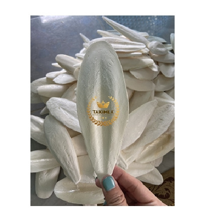 Wholesale Natural White Cuttle Fish Bone Bird Food Squid Dried Cuttlebone for Bird export from Vietnam