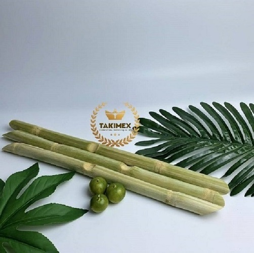 Best Seller Frozen SUGARCANE SUGAR CANE Stems IQF Cubes BQF Juice from TAK factory in Vietnam for Food & Beverage