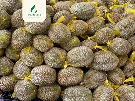 High Quality Hot Sale Frozen Fruit & Vegetable Products Whole Frozen Durian Sweet And Thick Flavor Famous Tropical Asia Fruit