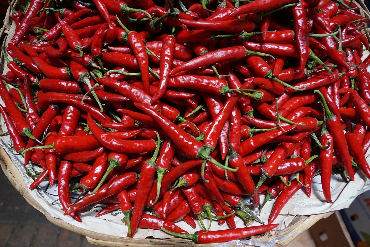 Savory red Chilli Red Pepper from Vietnam Farm Organic Red Chili Quality Low Price Dry Chili peppers