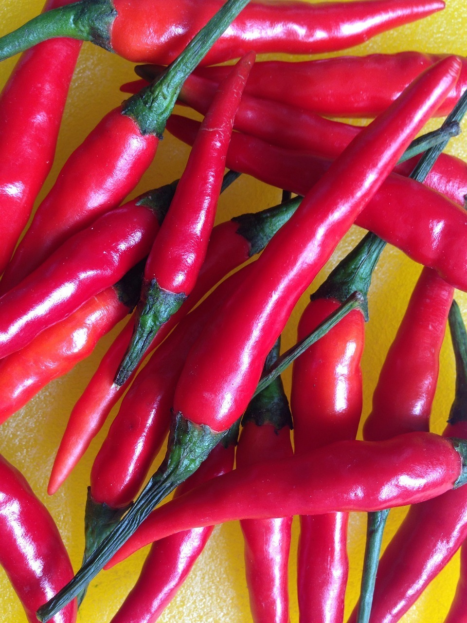 Savory red Chilli Red Pepper from Vietnam Farm Organic Red Chili Quality Low Price Dry Chili peppers