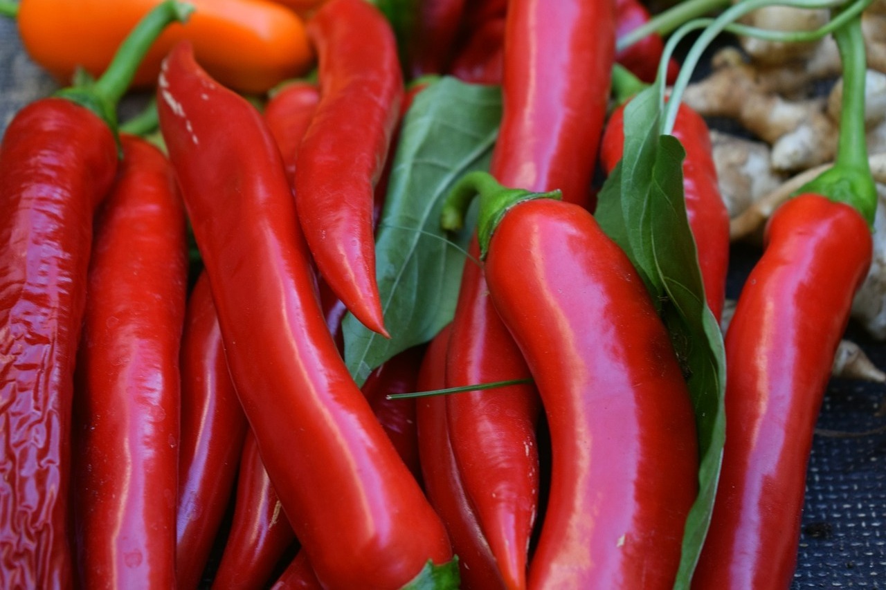 Spicy Fresh Chilli Red Pepper from Vietnam Farm Organic Red Chili Quality Low Price Dry Chili pepper