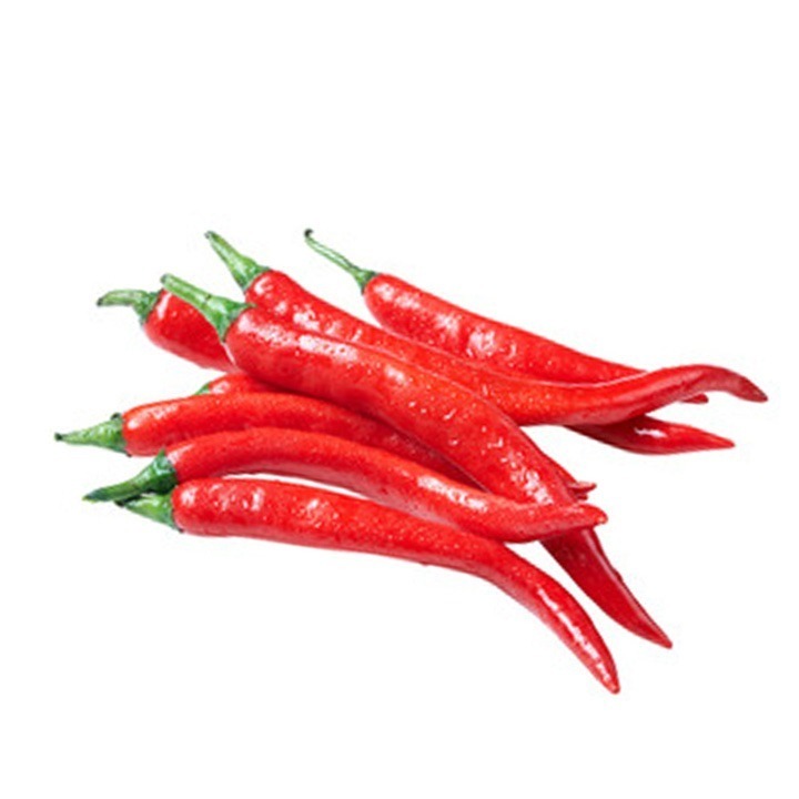 Raw Fresh Chilli Red Pepper from Vietnam Farm Organic Red Chili Quality Low Price Dry Chili dry red chili