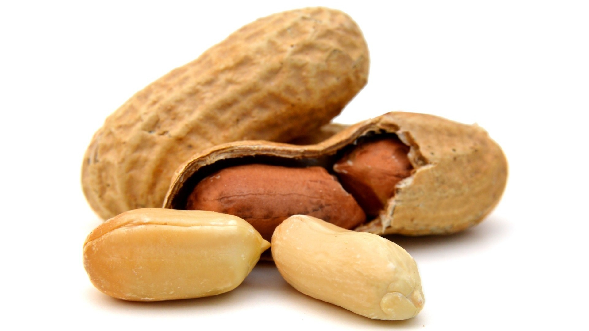 Delicious taste Peanut from Vietnam farm Fresh Peanuts for Export Clean Tasty Peanuts Cheap Price peanuts