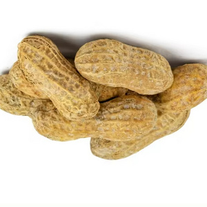 Protein and nutrial Peanut from Vietnam farm Fresh Peanuts for Export Clean Tasty Cheap Price peanuts