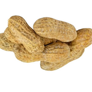 Delicious taste Peanut from Vietnam farm Fresh Peanuts for Export Clean Tasty Peanuts Cheap Price peanuts