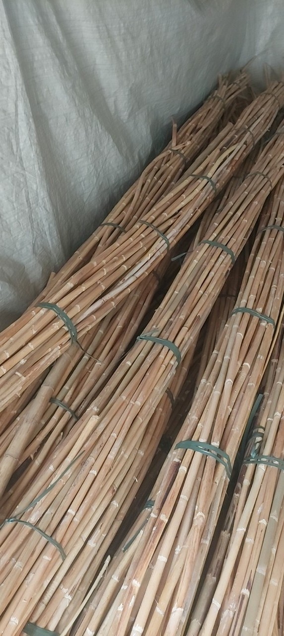 Wholesale natural rattan bamboo poles with good quality from 99 Gold Data (Whatsapp: 84 327076054)