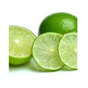 WHOLESALE LIME - VIETNAM FRESH FRUIT SEEDLESS GREEN LIME AGRICULTURAL PRODUCT from DIRECT EXPORTER