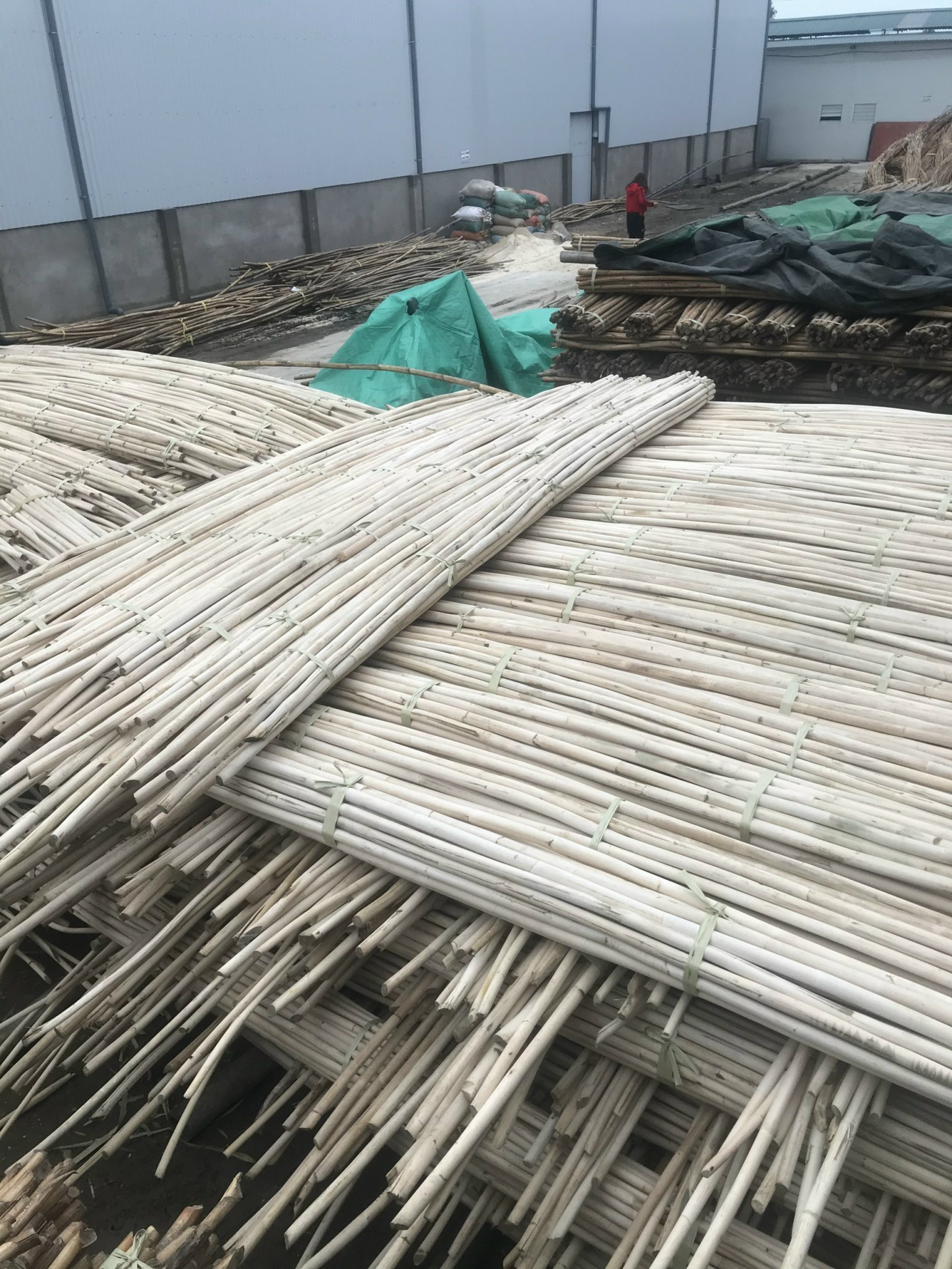 Eco-friendly rattan bamboo raw material from Viet Nam - RATTAN POLE PEEL CANE TO EXPORT