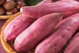 Wholesale frozen vegetables - Frozen Sweet Potatoes Ingredients Edible Bulk Vietnamese potato for food