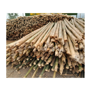 High Quality Bamboo Material Stakes Bamboo Poles Moso Treated Artificial Raw Bamboo Poles From Vietnam