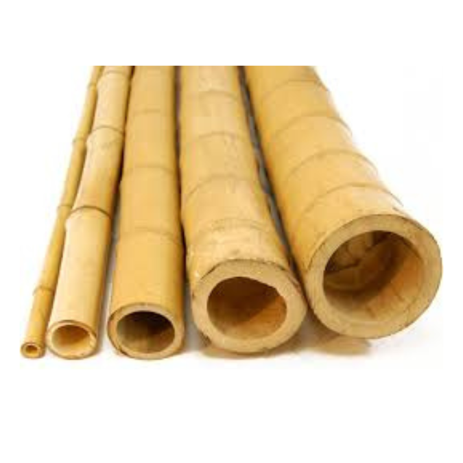 Bamboo pole for Outdoor Bamboo Fence outdoor natural 2024 bamboo Natural Green Pole