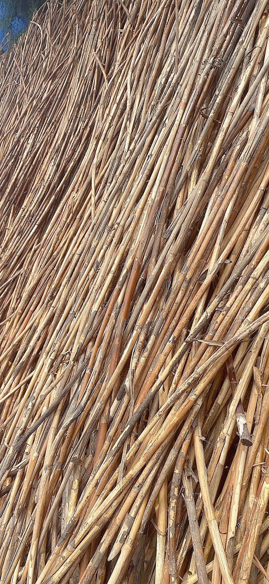 Eco-friendly rattan bamboo raw material from Viet Nam - RATTAN POLE PEEL CANE TO EXPORT