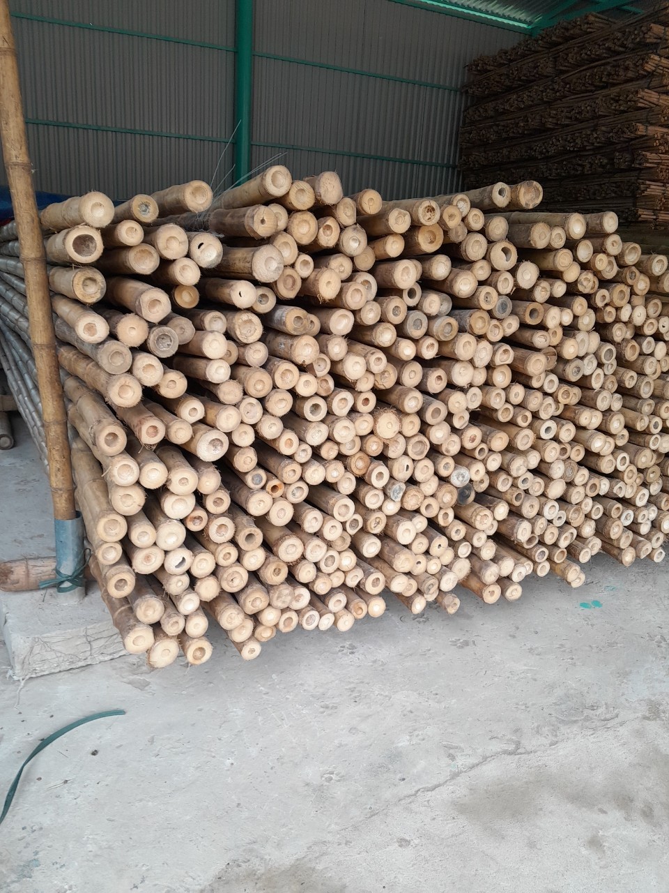 Bamboo pole for Outdoor Bamboo Fence outdoor natural 2024 bamboo Natural Green Pole