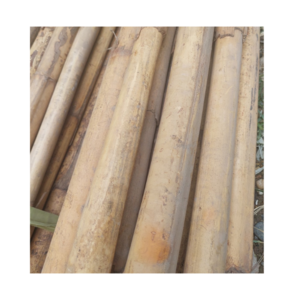 Eco-friendly rattan bamboo raw material from Viet Nam - RATTAN POLE PEEL CANE TO EXPORT