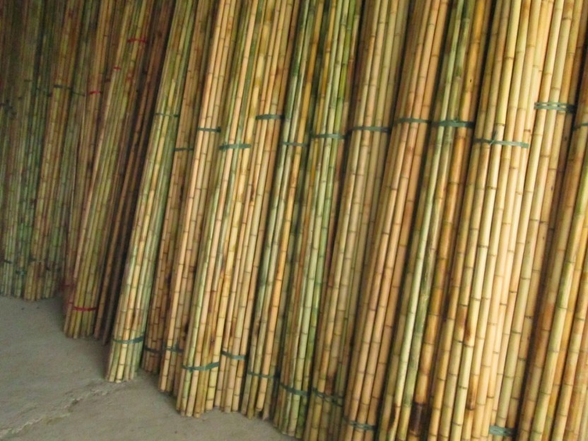 High Quality Bamboo Material Stakes Bamboo Poles Moso Treated Artificial Raw Bamboo Poles From Vietnam