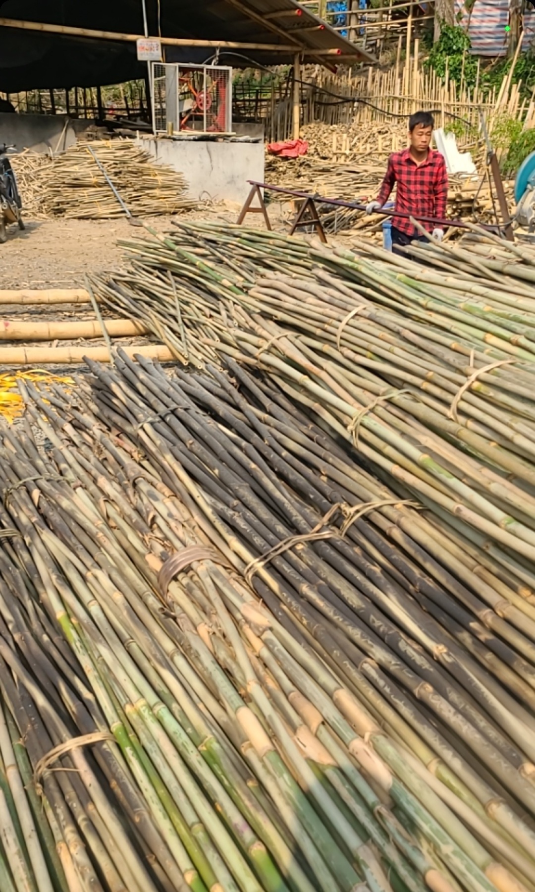 High Quality Bamboo Material Stakes Bamboo Poles Moso Treated Artificial Raw Bamboo Poles From Vietnam