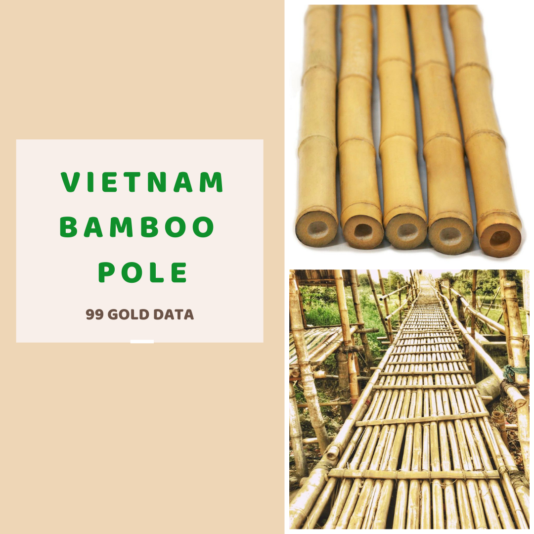 High Quality Bamboo Material Stakes Bamboo Poles Moso Treated Artificial Raw Bamboo Poles From Vietnam