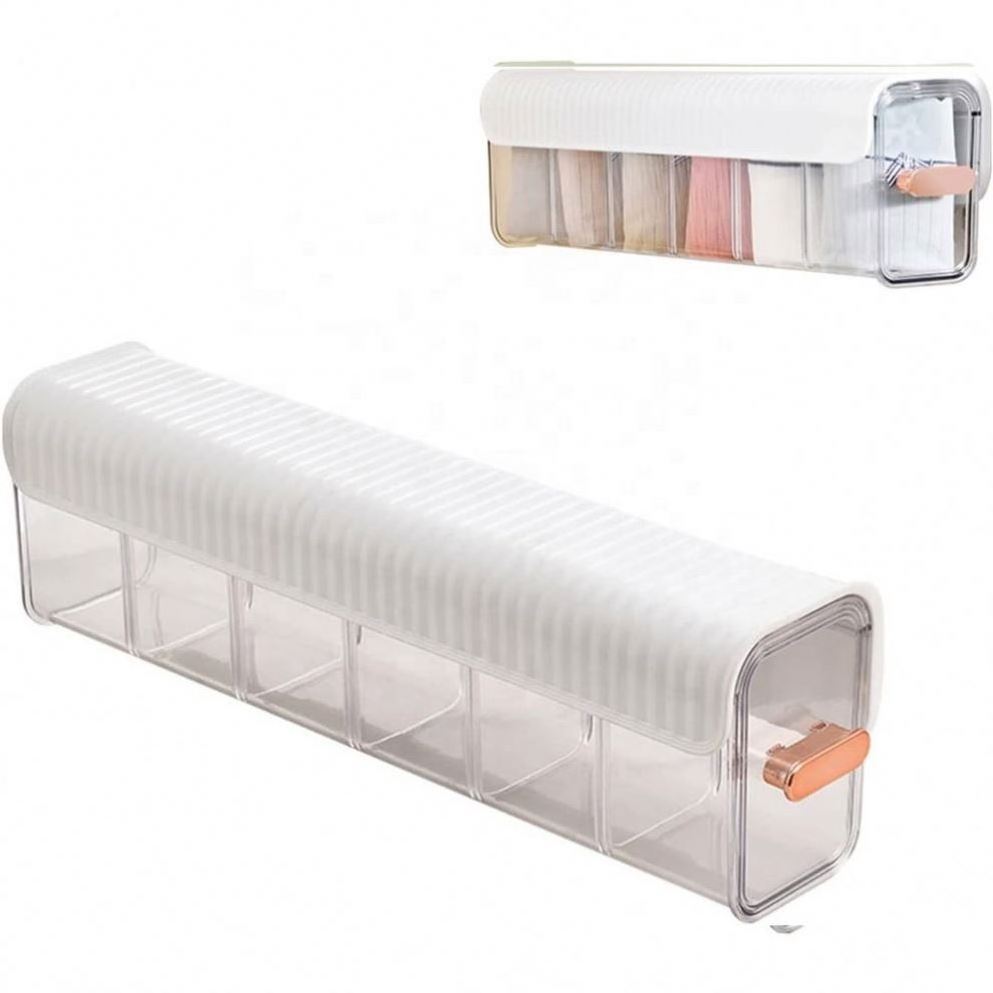 Wall Mounted Transparent Multifunctional Plastic Underwear Storage Box Wardrobe Door Underwear Bra Organizer Storage Box