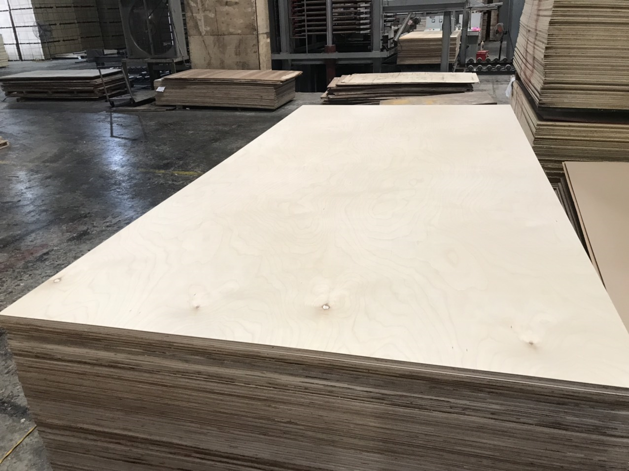 Price Factory High Grade Birch Plywood for Furniture Available With Customize Size Commercial Plywood Negotiable price