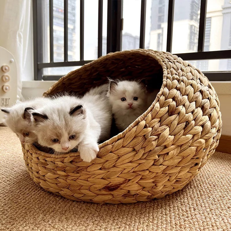 Handmade Water Hyacinth Luxury Pet Soft Bed Rattan Pet House Woven Cat & Dog Sleeping Basket Beds in viet nam